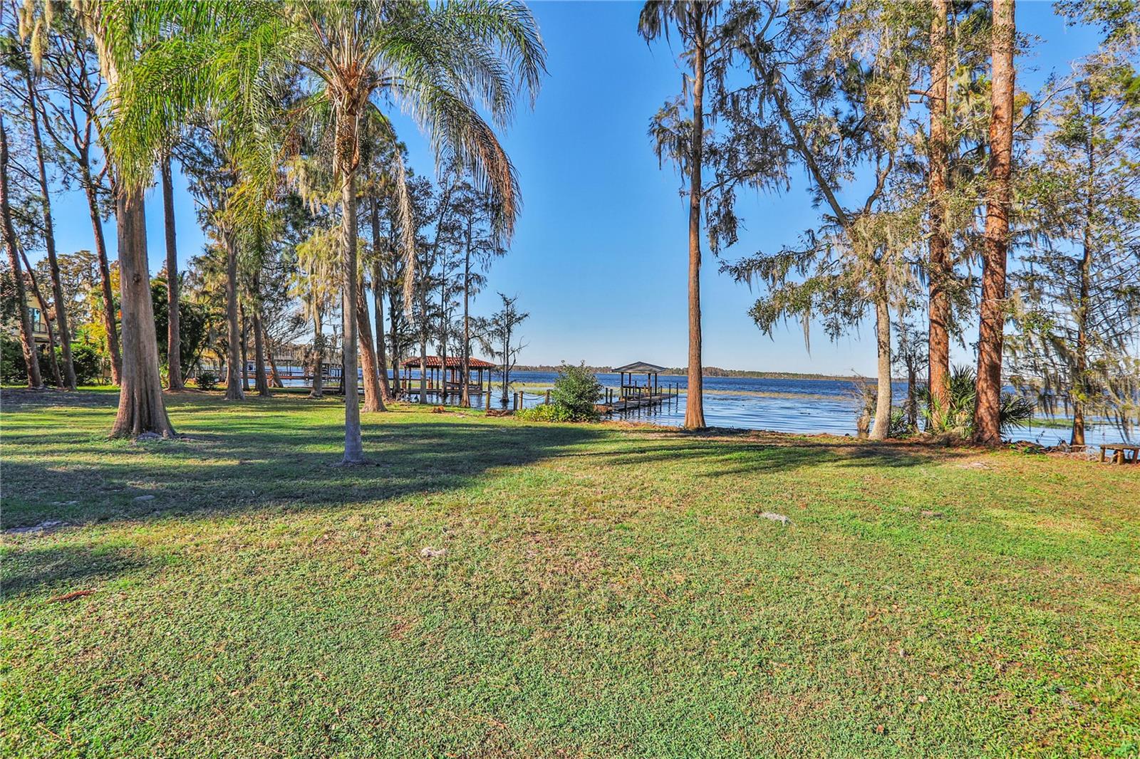 10121 LONE TREE LN