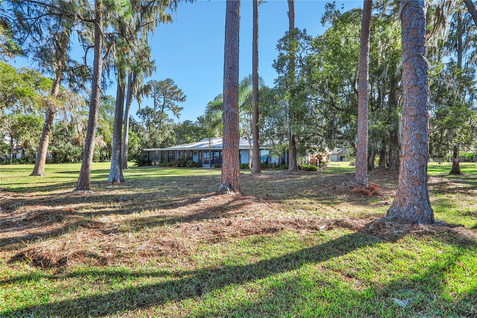 10121 LONE TREE LN