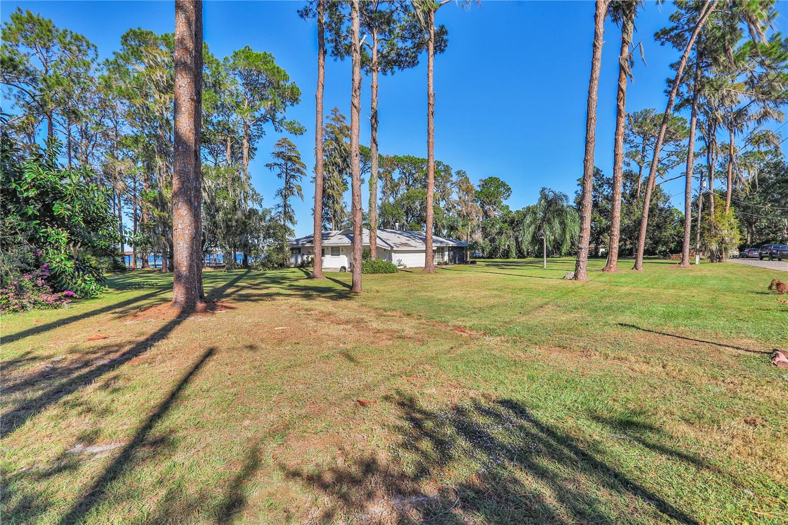 10121 LONE TREE LN
