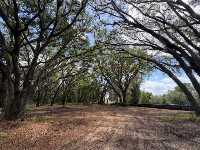 17144 PHIL C PETERS RD