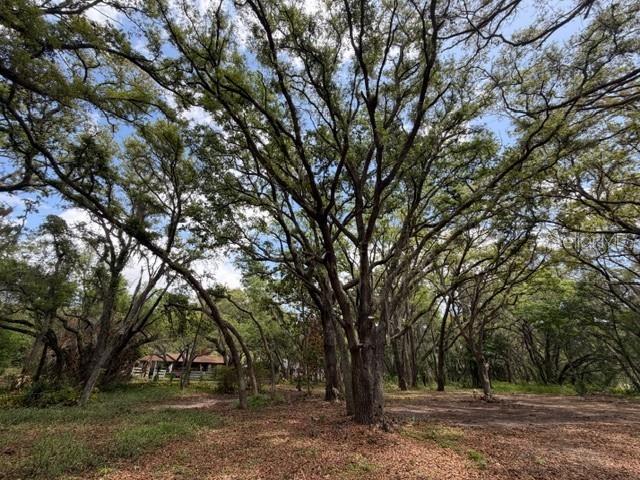 17144 PHIL C PETERS RD