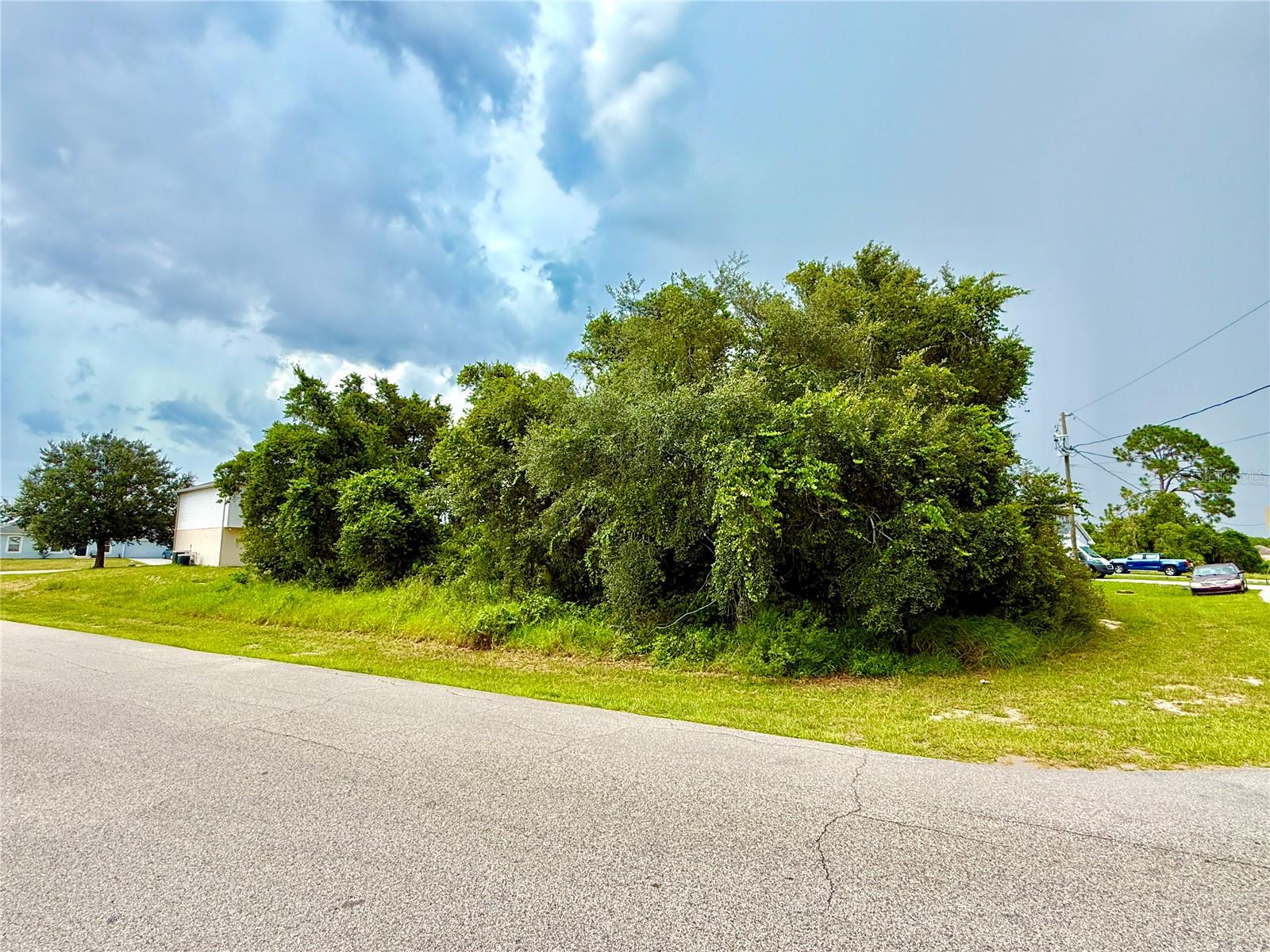 1 SAWFISH LN