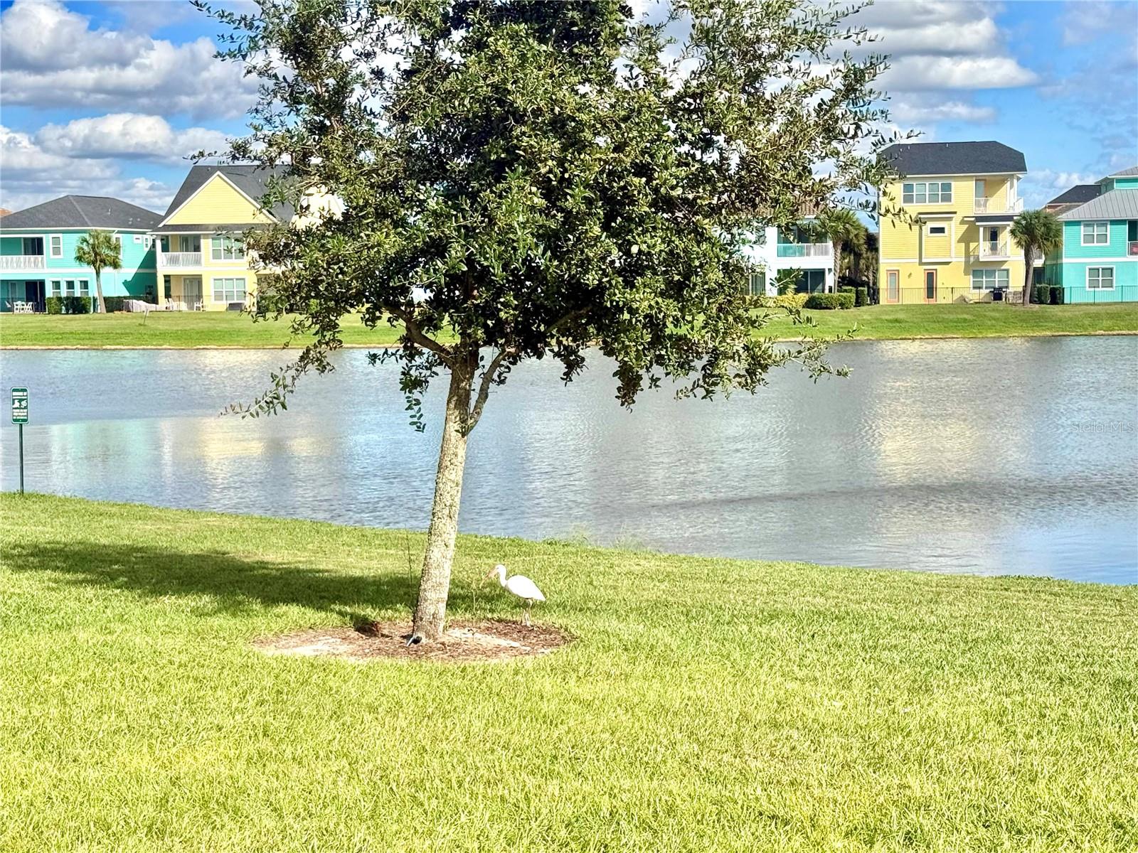 3001 CARIBBEAN SOUL DR