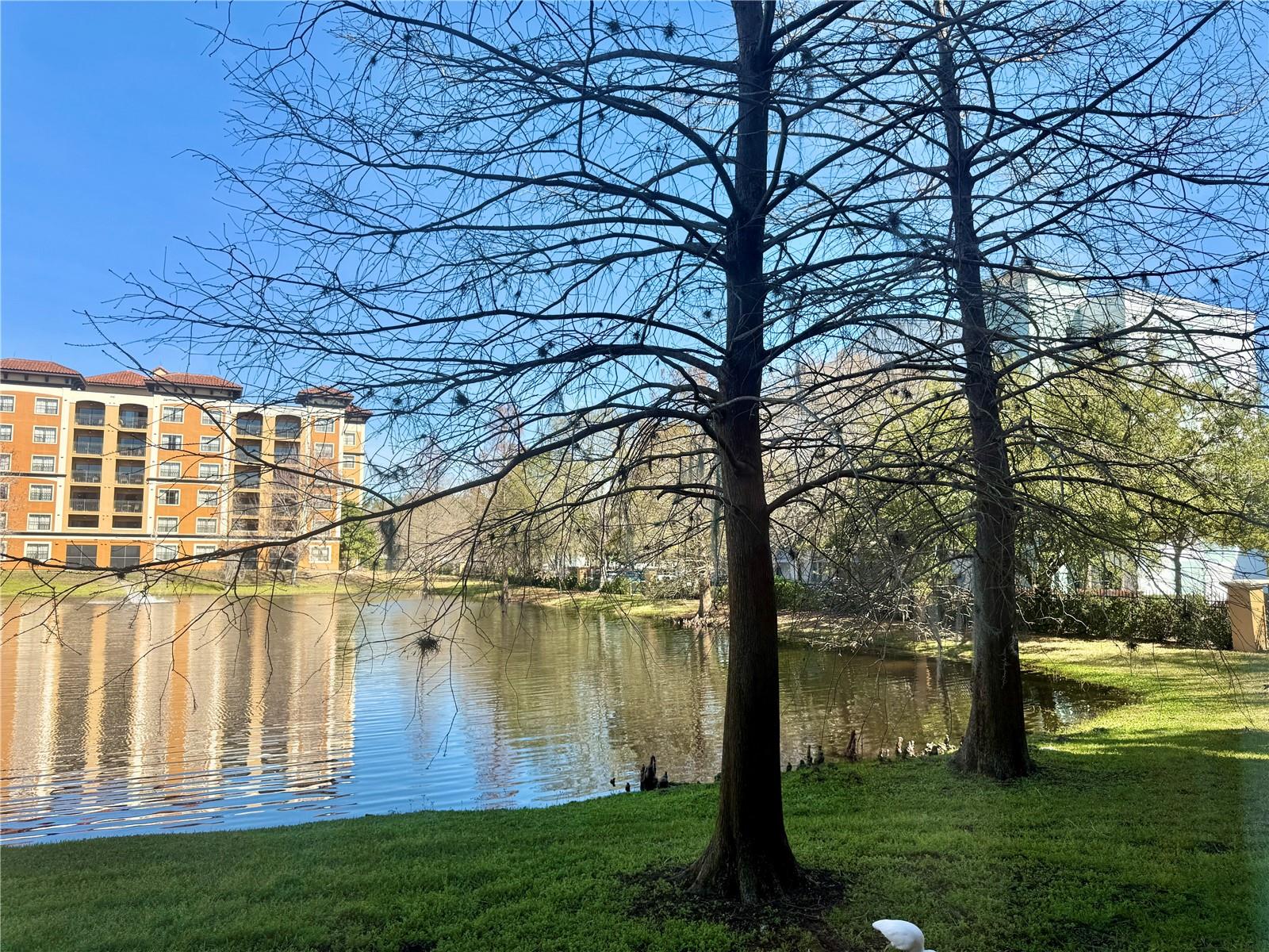 12539 FLORIDAYS RESORT DR #107D