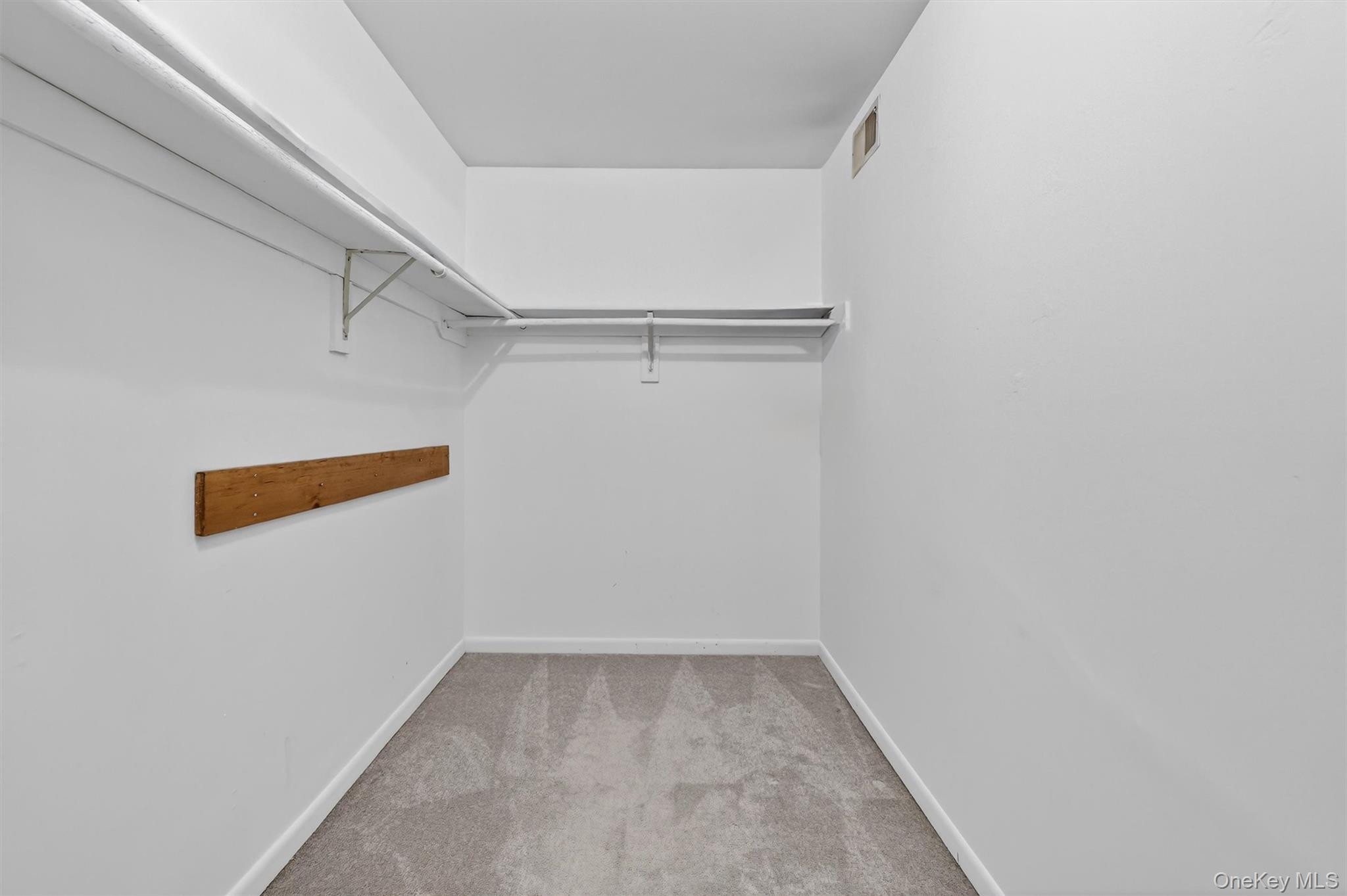 231 Carrollwood Drive