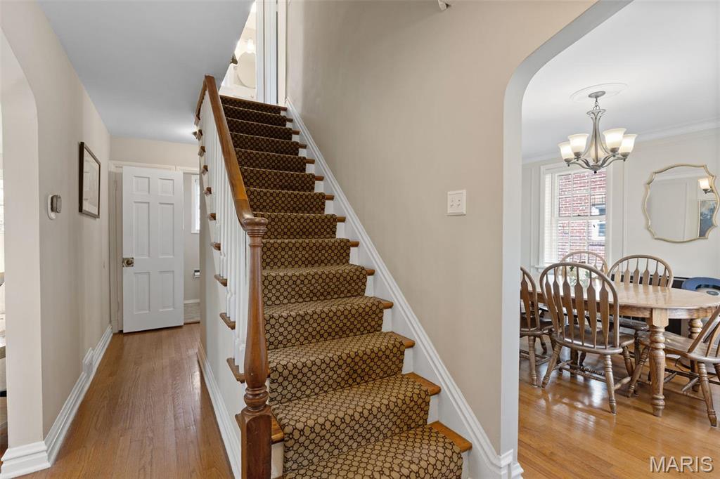 7487 Shaftesbury Avenue