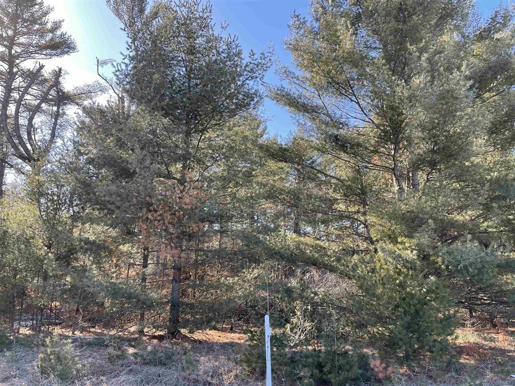 Lot 28 VERDE VILLA DRIVE