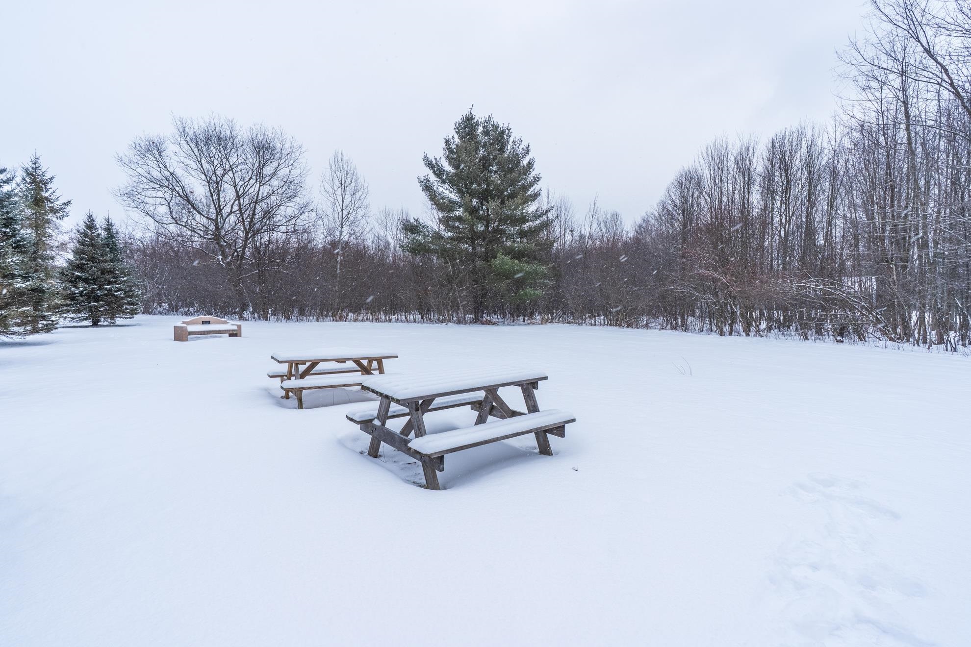 7320 WHITESPIRE ROAD Unit: Unit 15