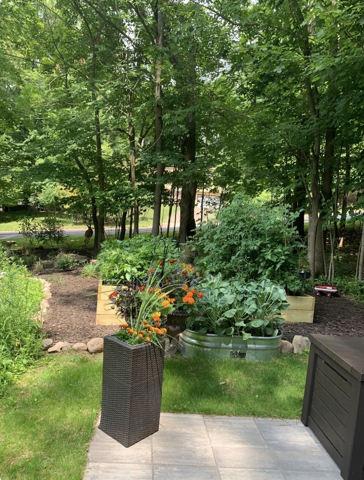 1401 WOODLAND RIDGE ROAD