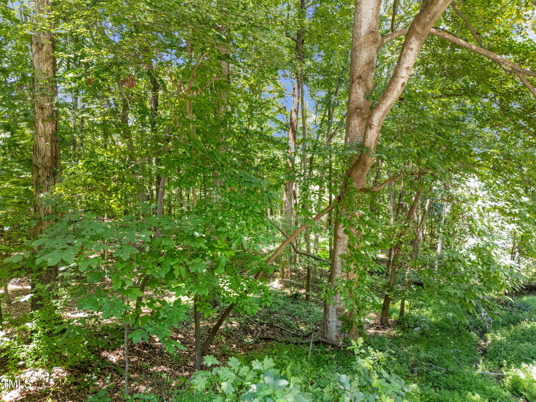 1000-1100 Trailwood Drive
