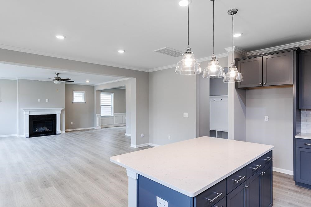 1005 Lynn Star Court