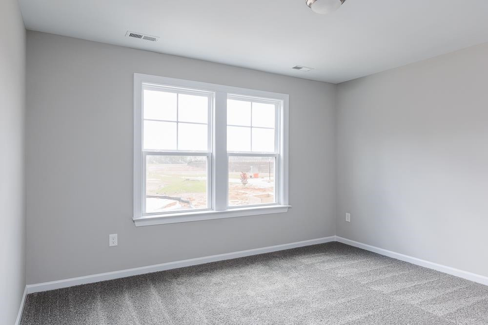 1005 Lynn Star Court
