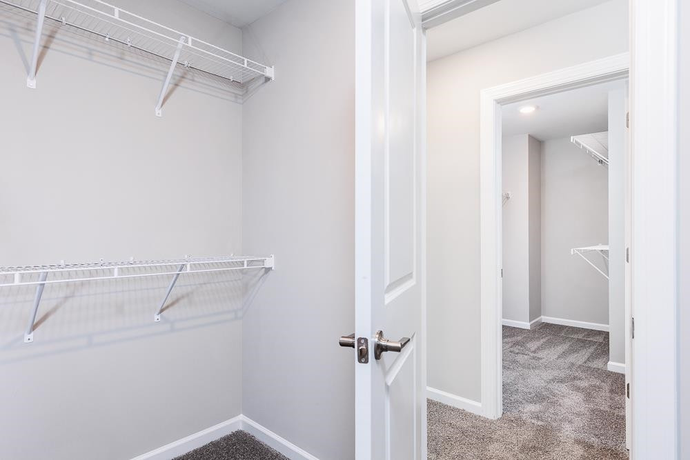 1005 Lynn Star Court