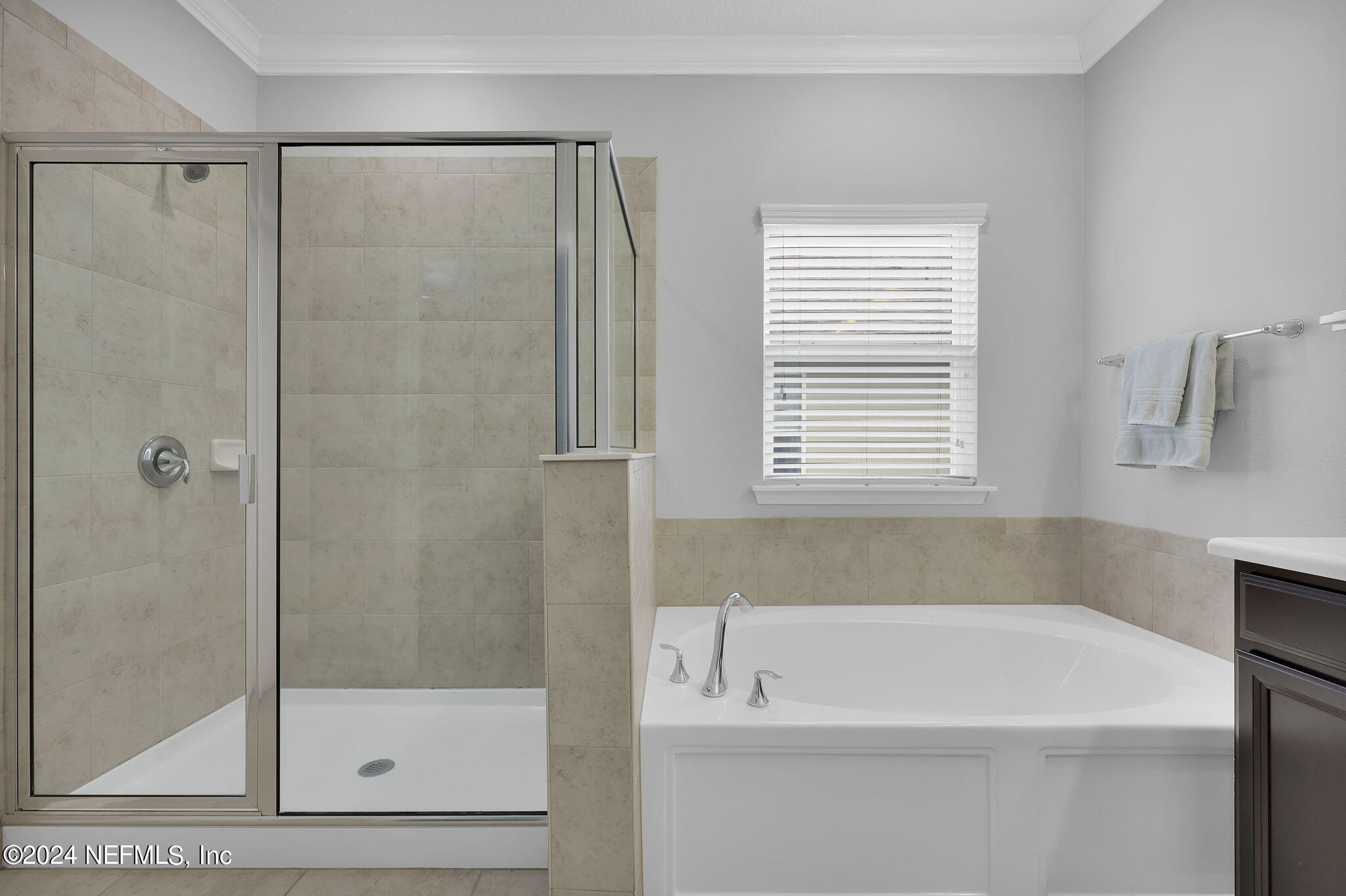 110 OLD CARRIAGE Court