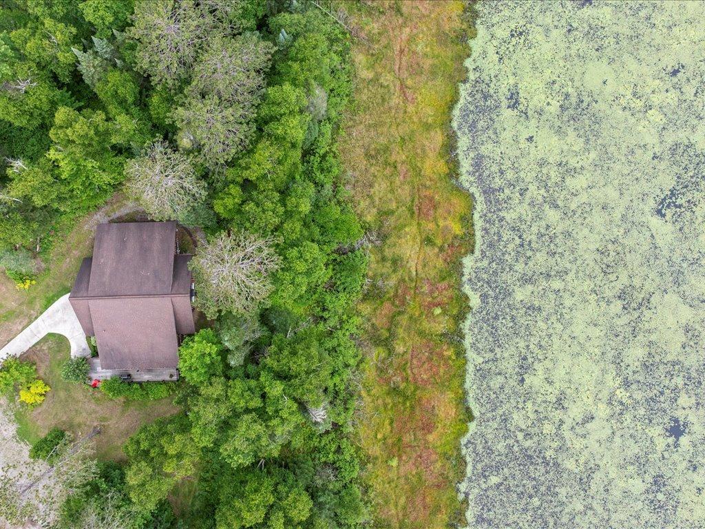 31436 Clearwater Road