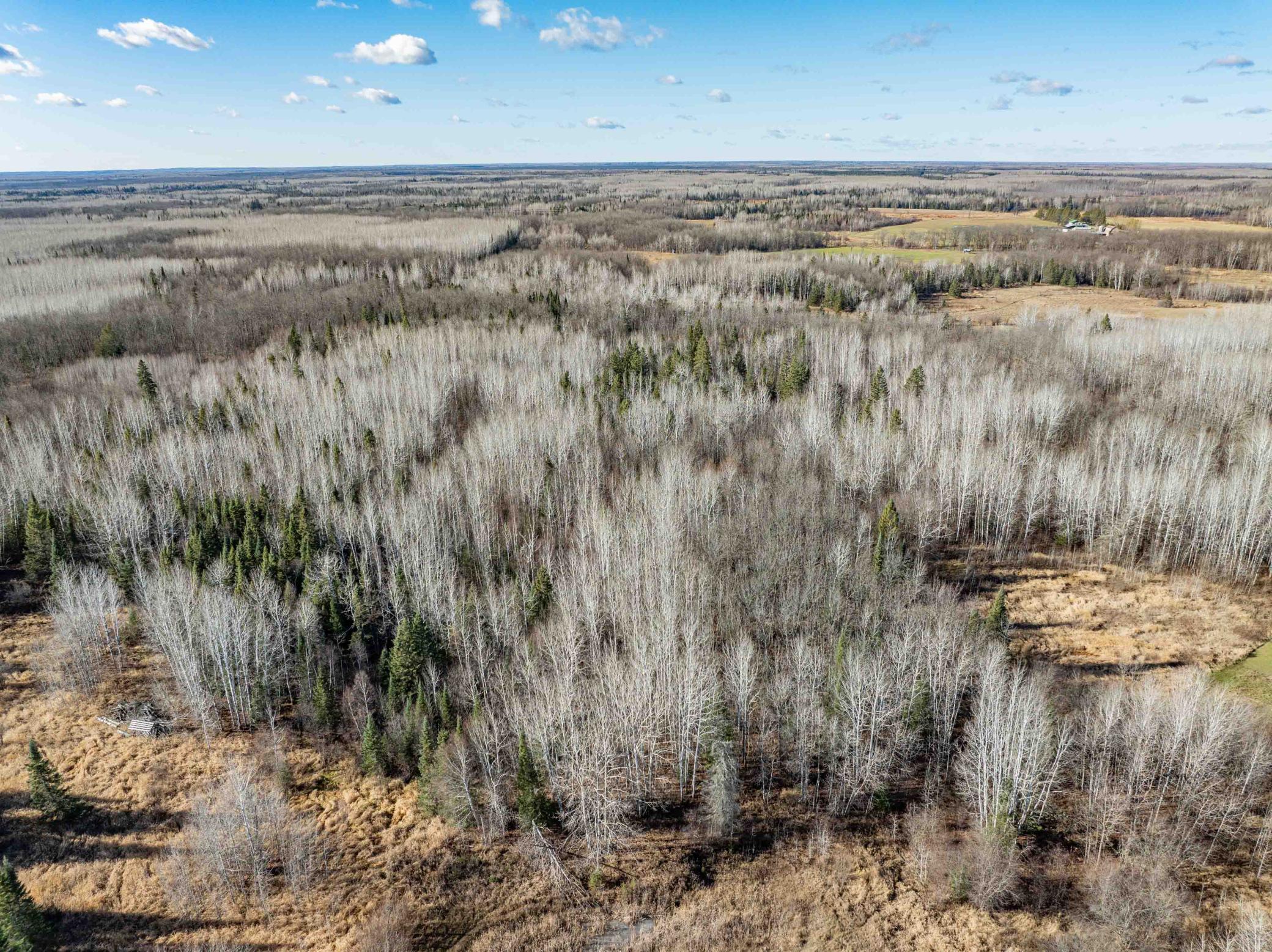 63981 State Highway 38