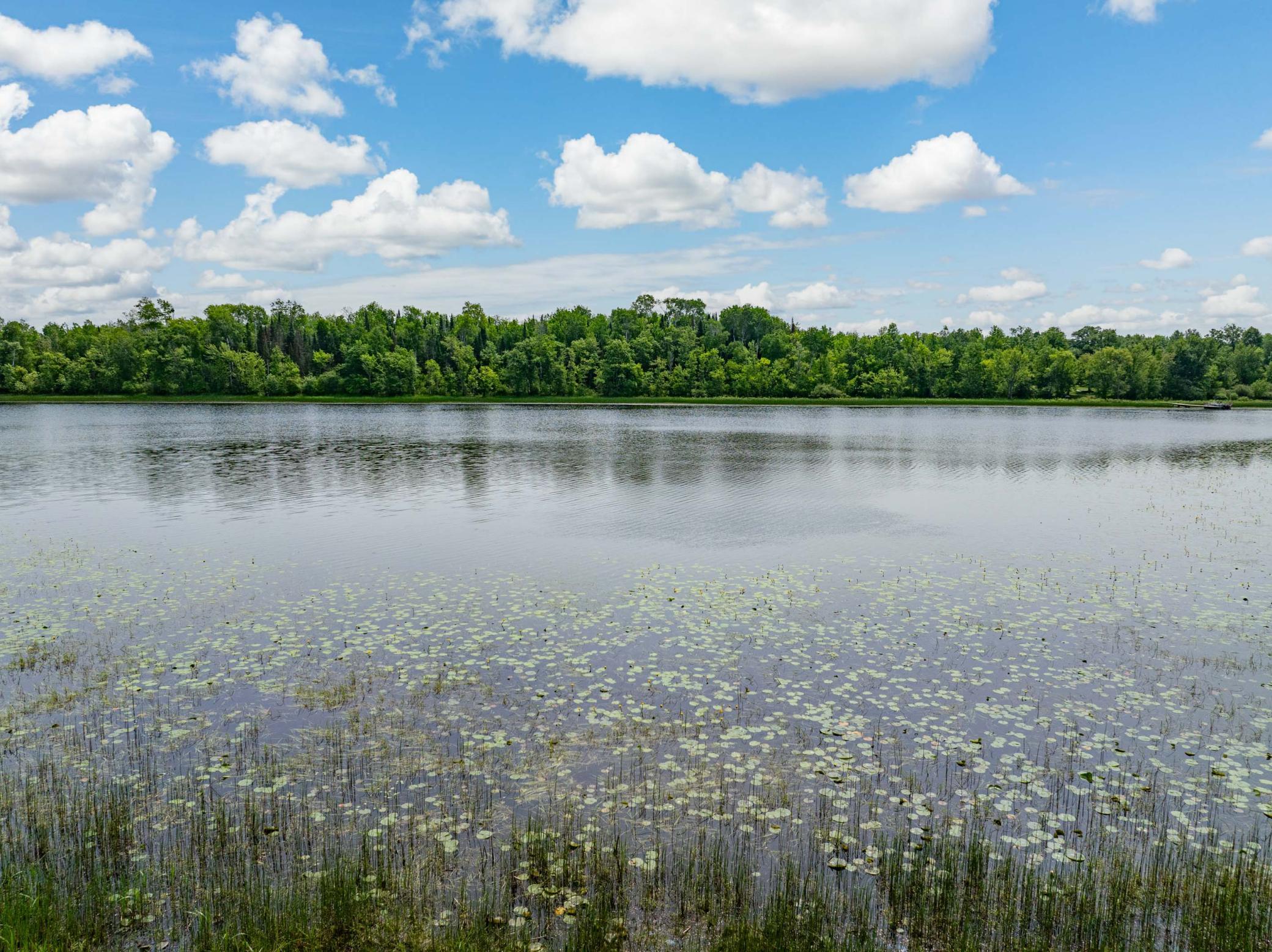 37202 Scenic Highway