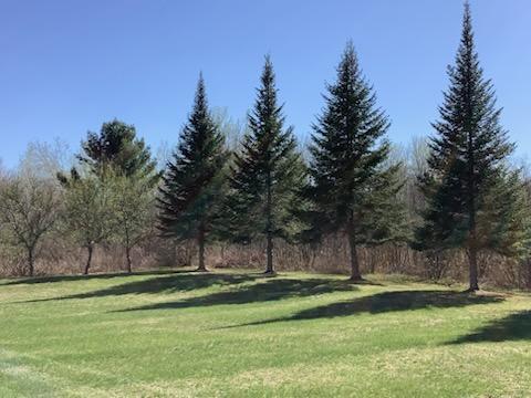 19323 Wendigo Park Road