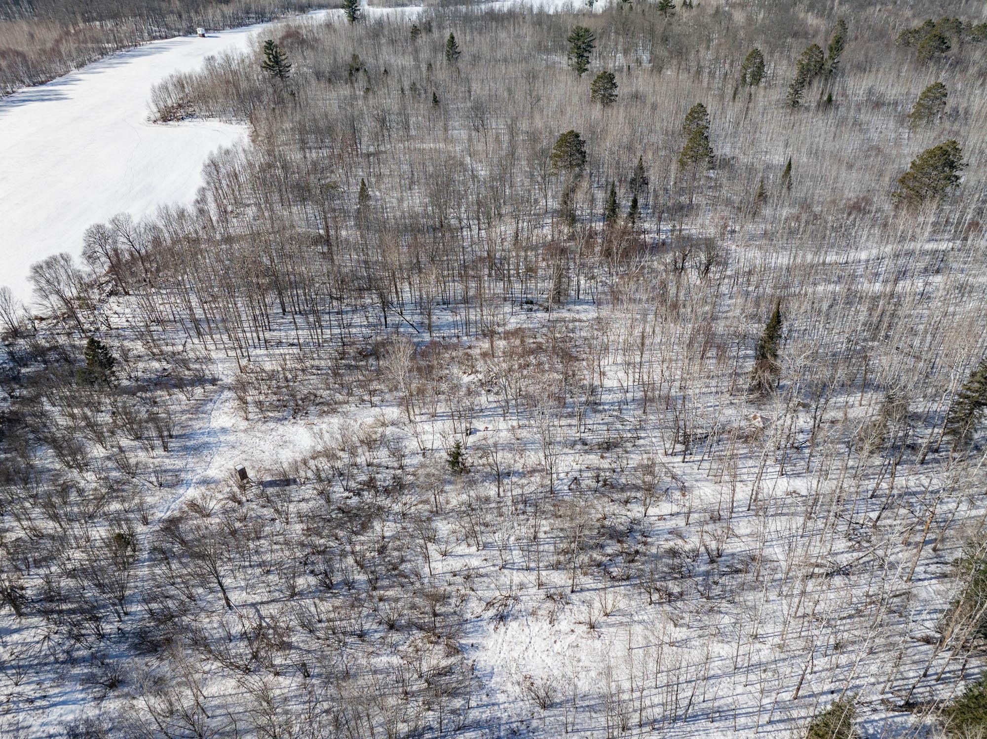 19323 Wendigo Park Road