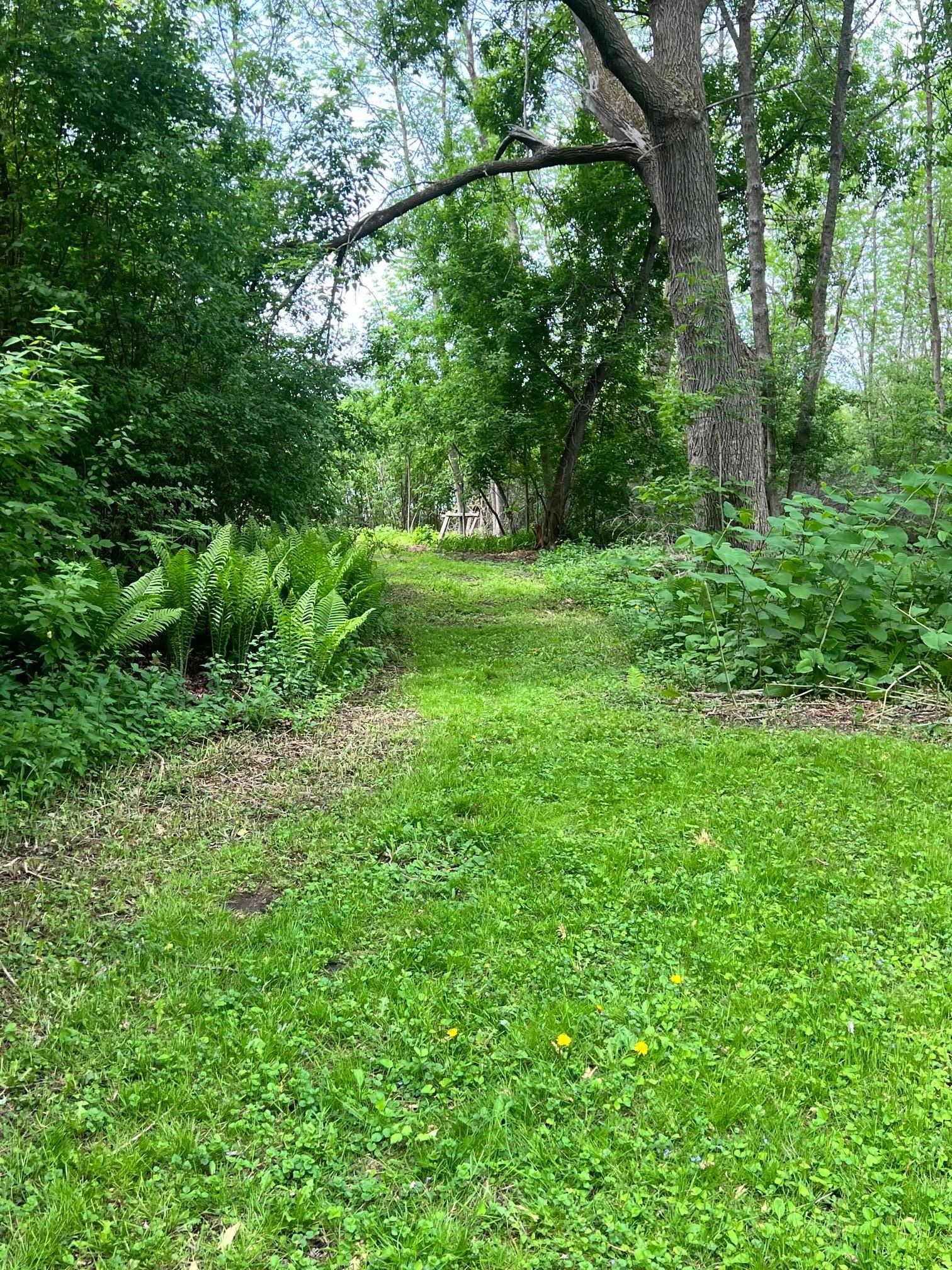 323 NW 11th Street