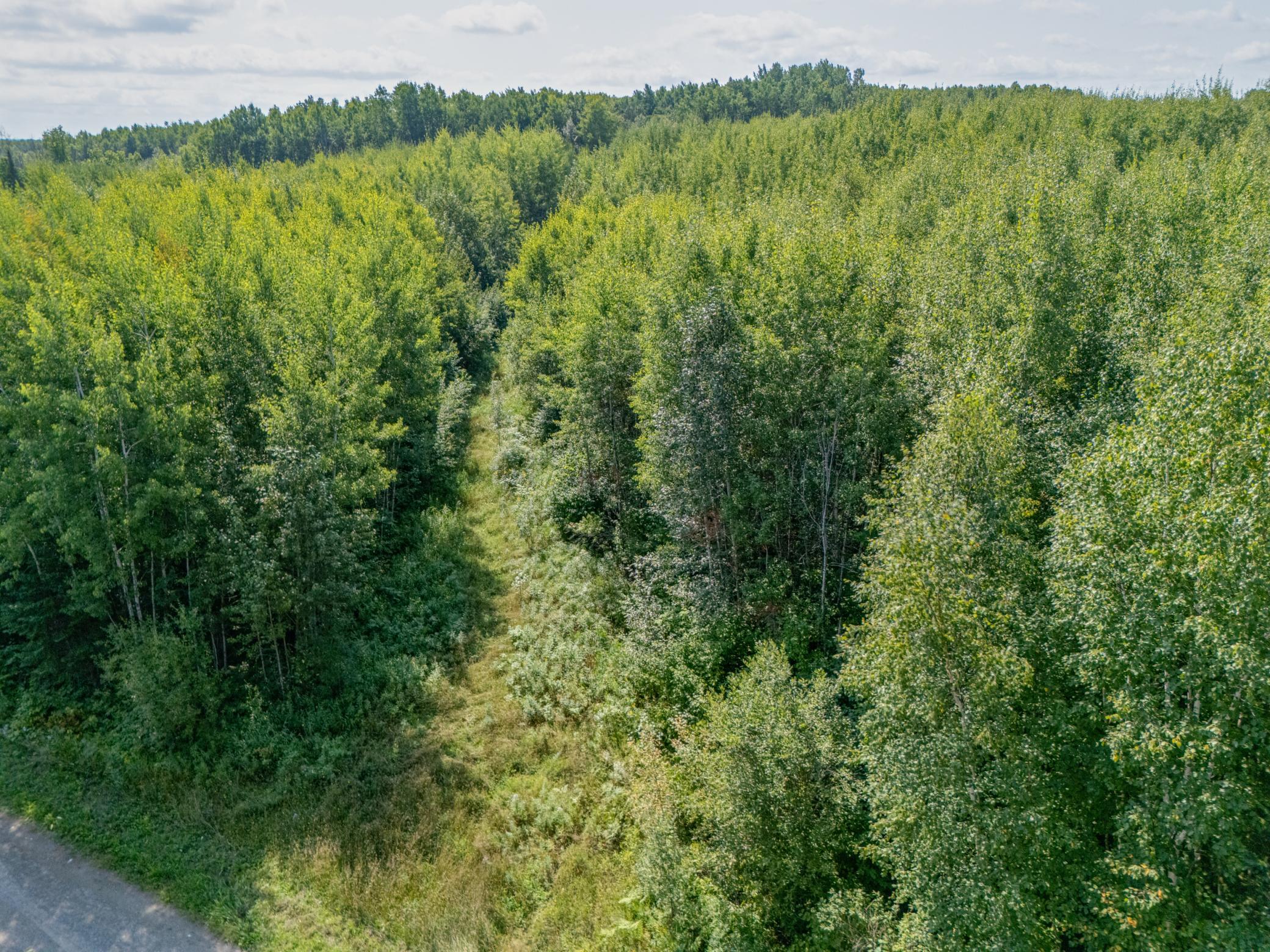 TBD County Rd 523