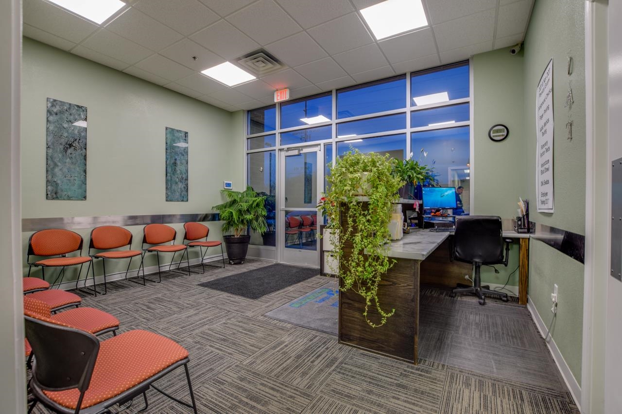 Office reception area with a dark wood desk, orange waiting chairs, and potted plants.