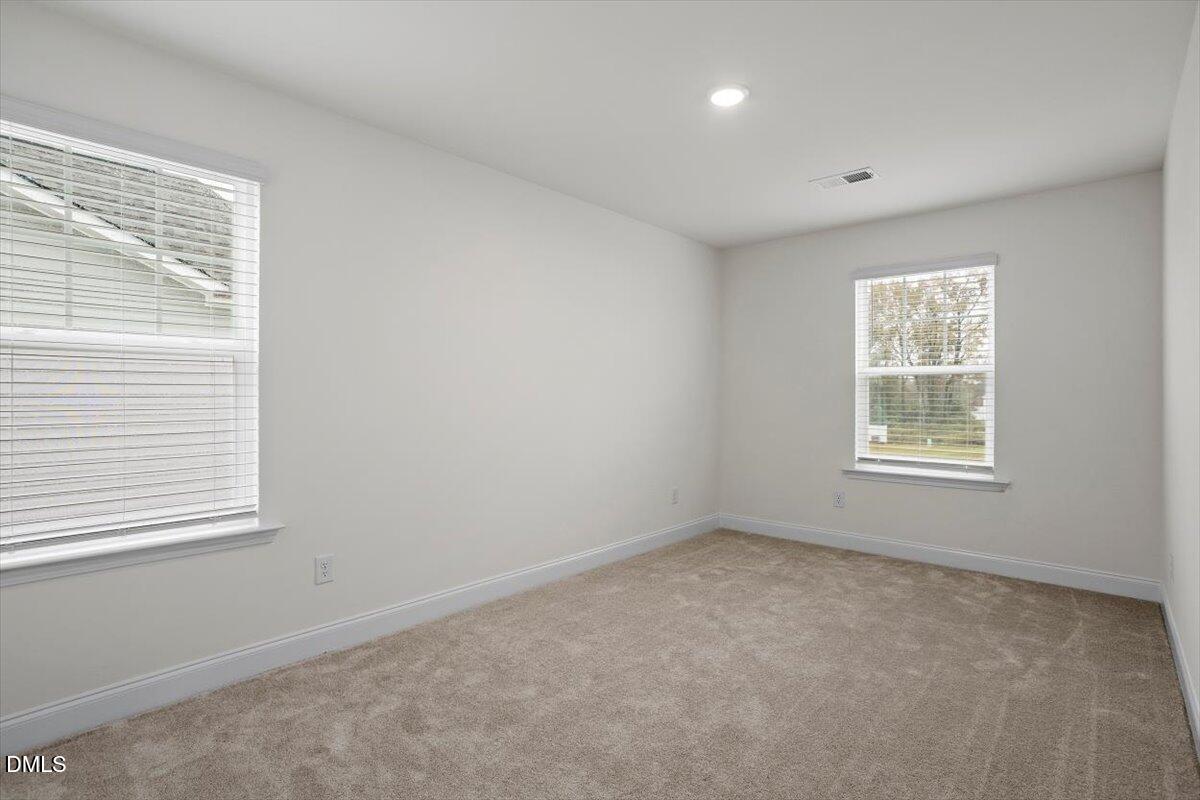74 Amaryllis Lane