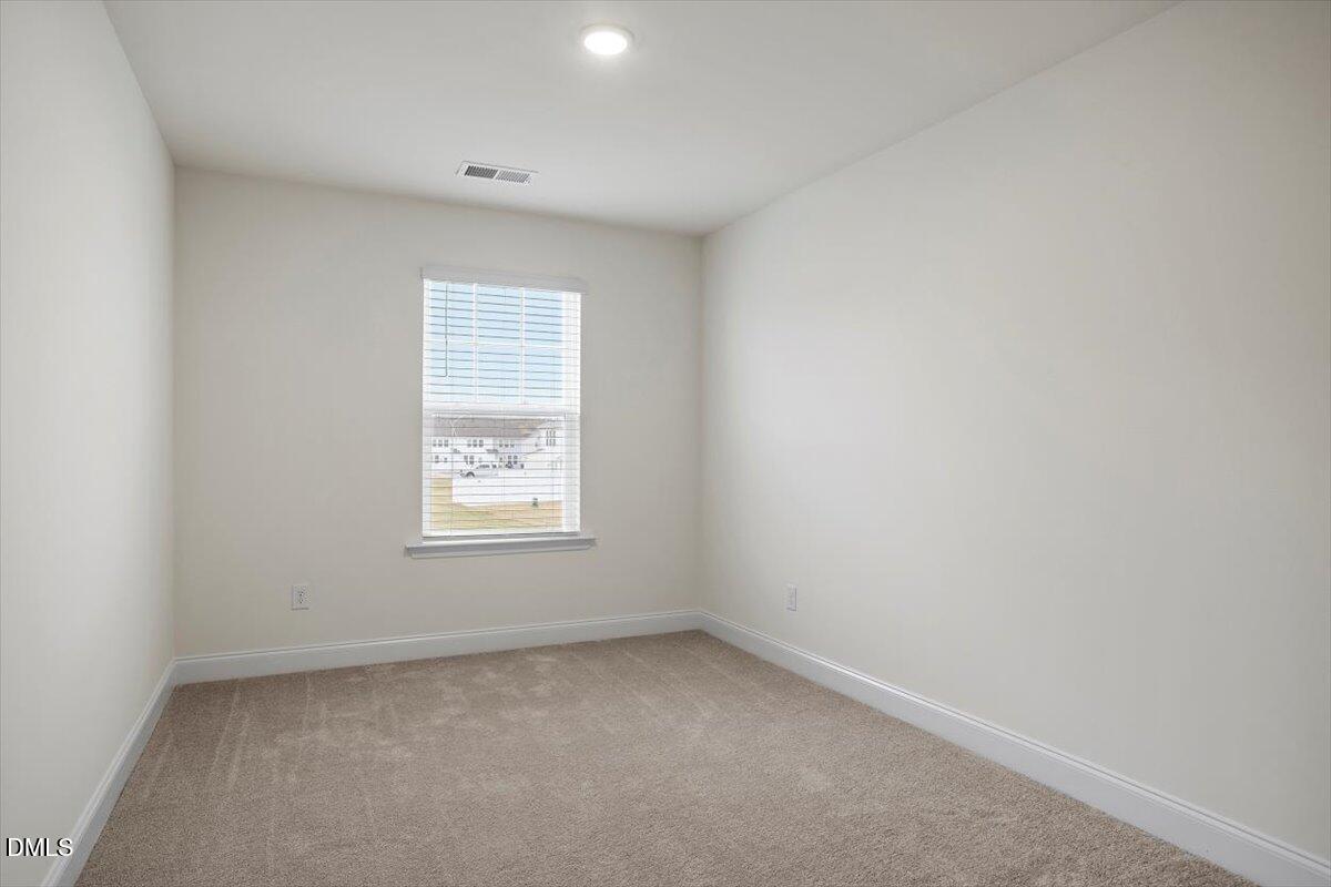 74 Amaryllis Lane