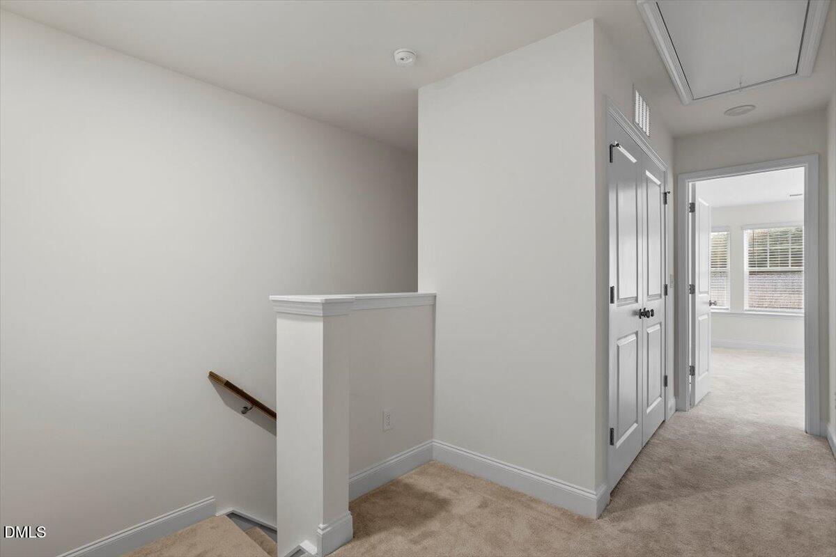 74 Amaryllis Lane