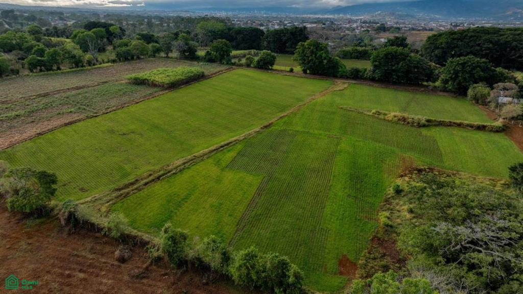 Flat Land for Sale Near International Airport, San Isidro, Central, Alajuela