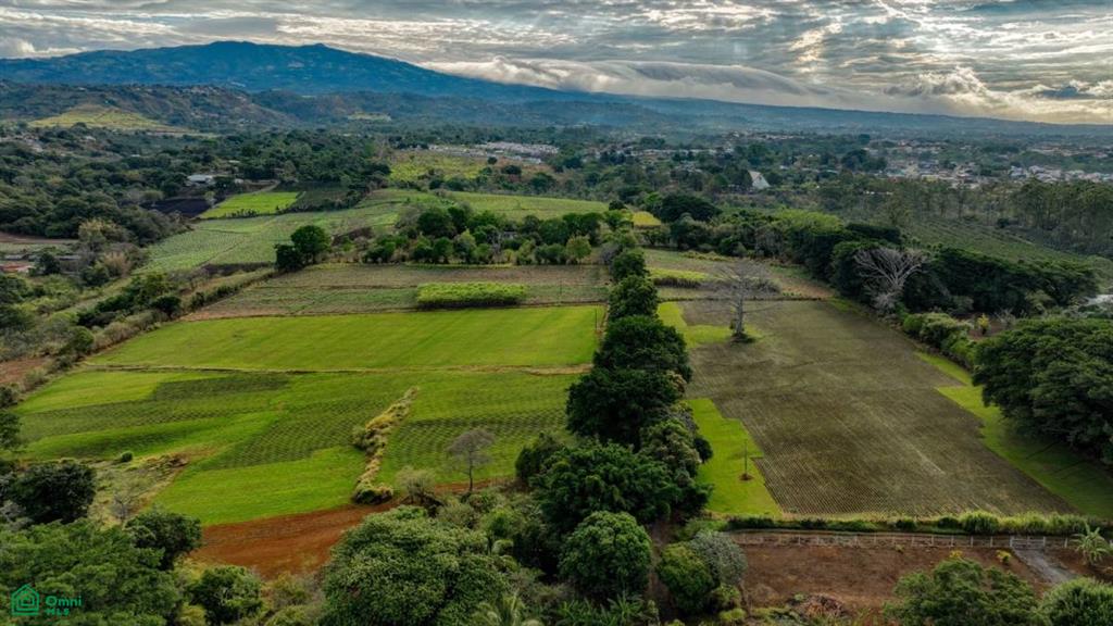 Flat Land for Sale Near International Airport, San Isidro, Central, Alajuela