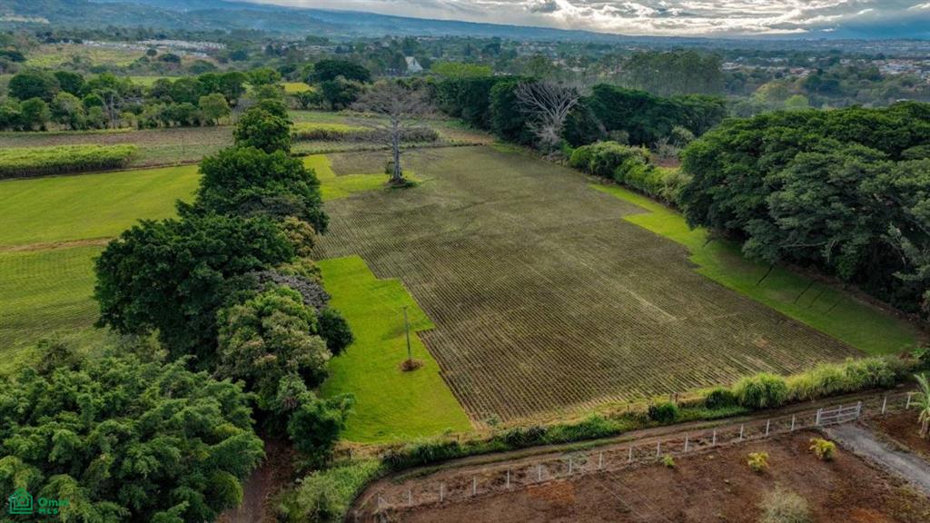 Flat Land for Sale Near International Airport, San Isidro, Central, Alajuela