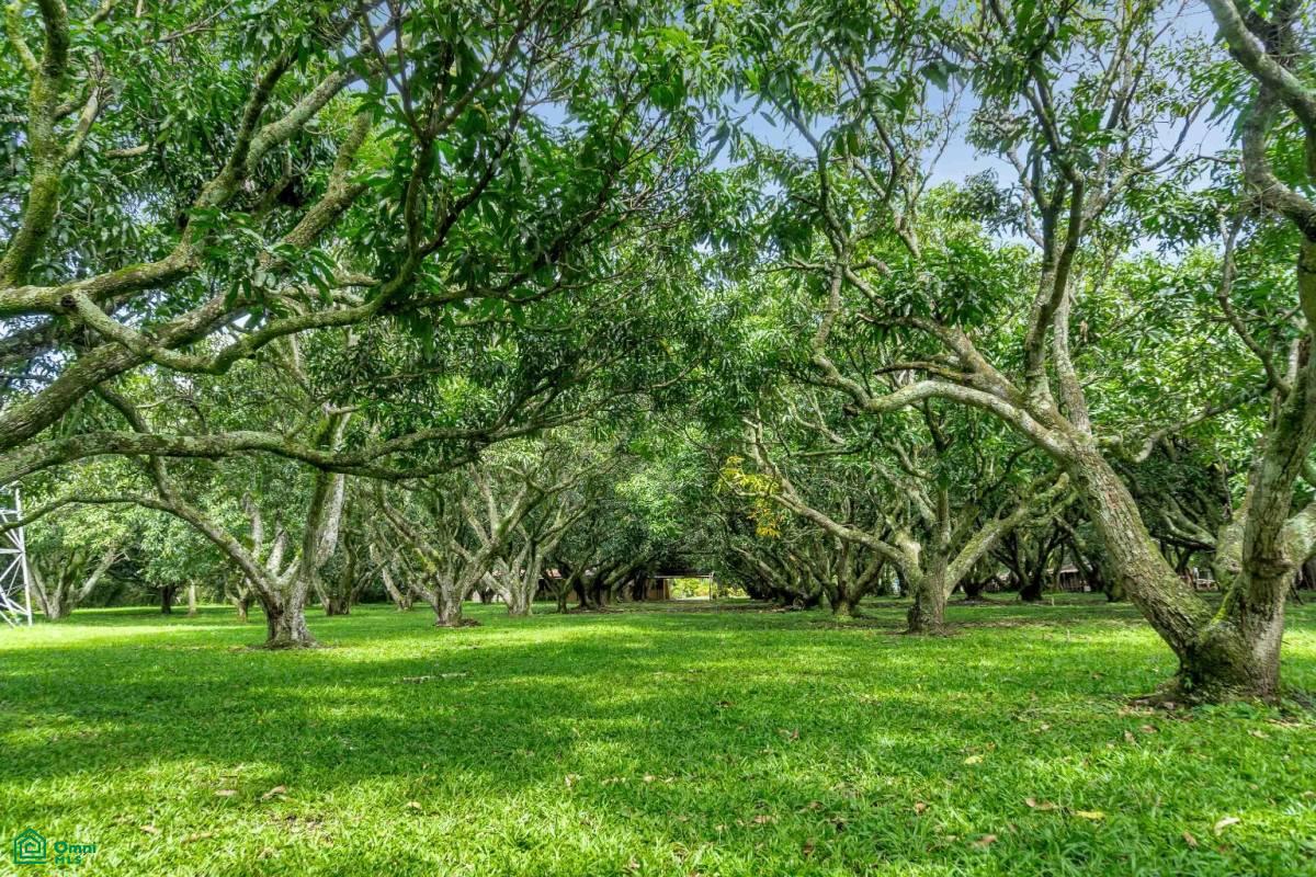 Near Ruta 27 access Mixed Use Development Land