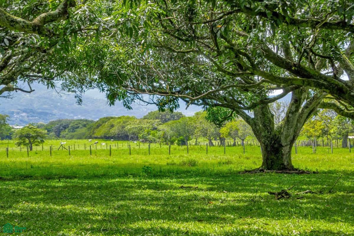 Near Ruta 27 access Mixed Use Development Land