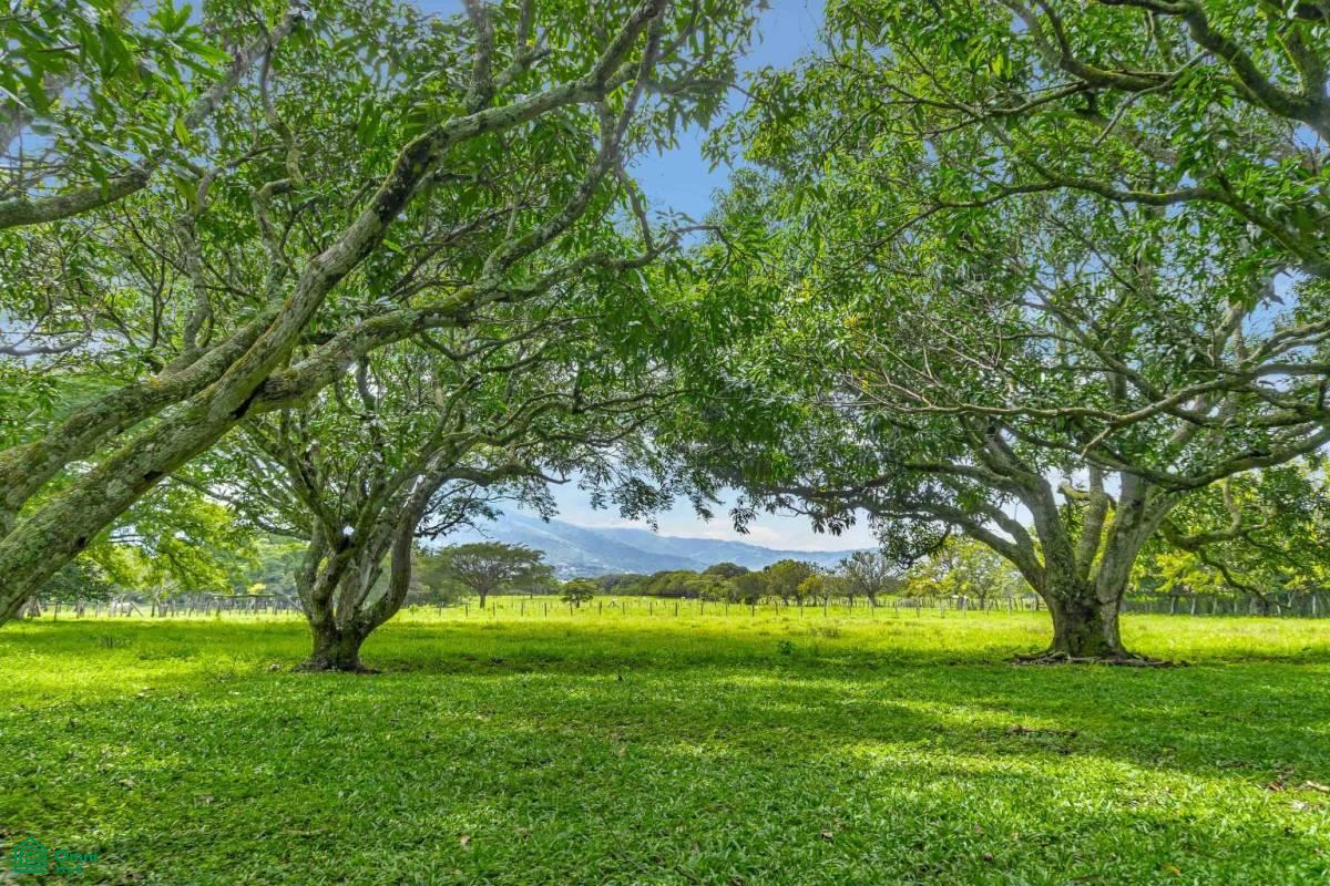 Near Ruta 27 access Mixed Use Development Land
