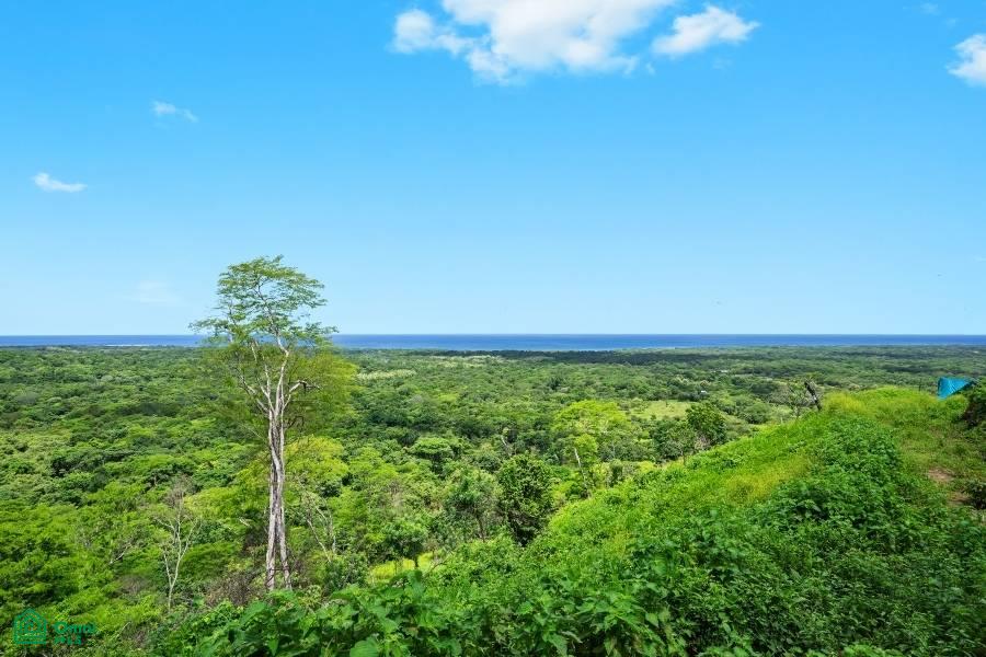 Walking Distance to Beach Club 49 One Hacienda Pinilla Premium Lot, Tamarindo, Guanacaste