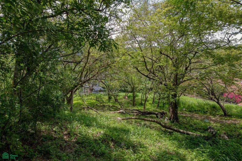 Residential Private Lush Lot Allows for Subdivision