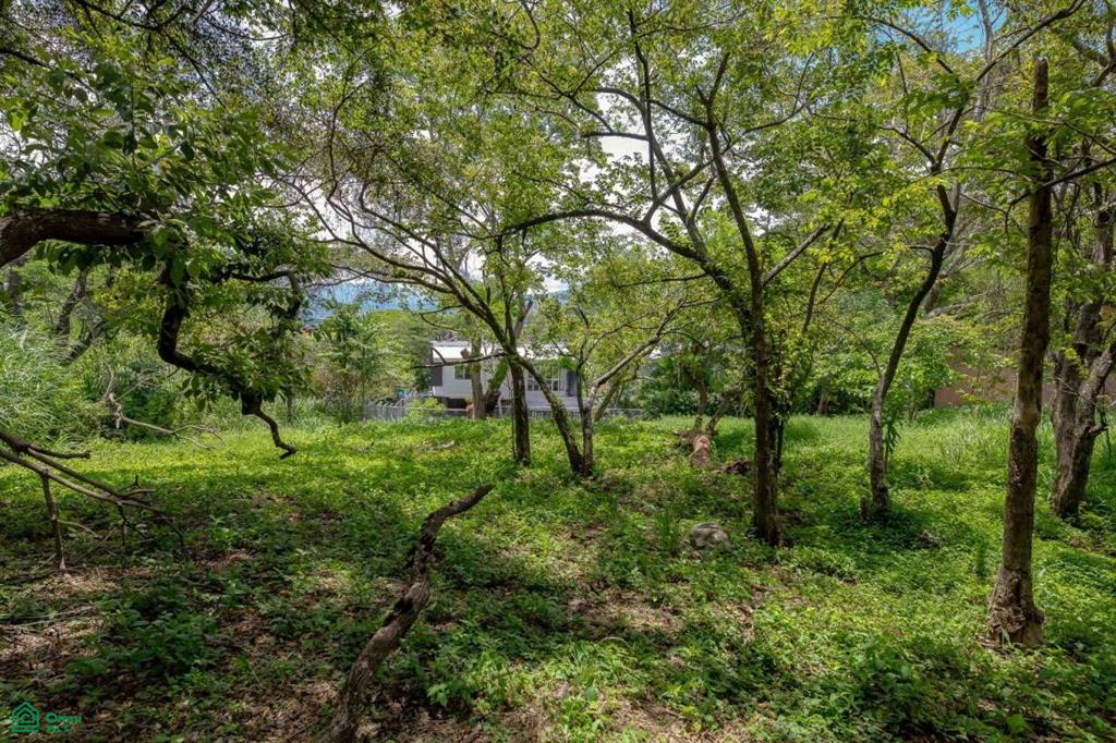 Residential Private Lush Lot Allows for Subdivision