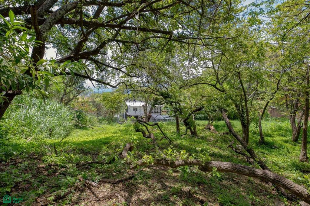 Residential Private Lush Lot Allows for Subdivision