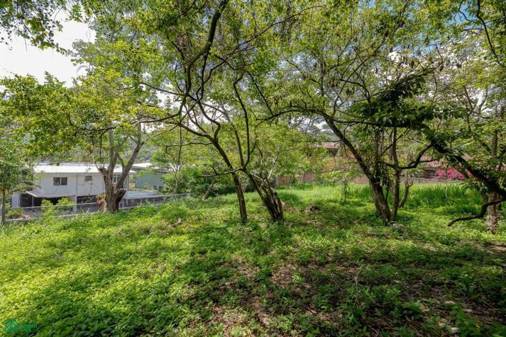 Residential Private Lush Lot Allows for Subdivision