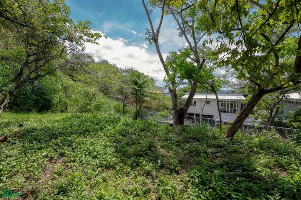 Residential Private Lush Lot Allows for Subdivision