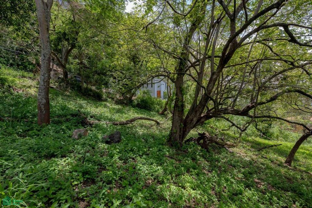 Residential Private Lush Lot Allows for Subdivision