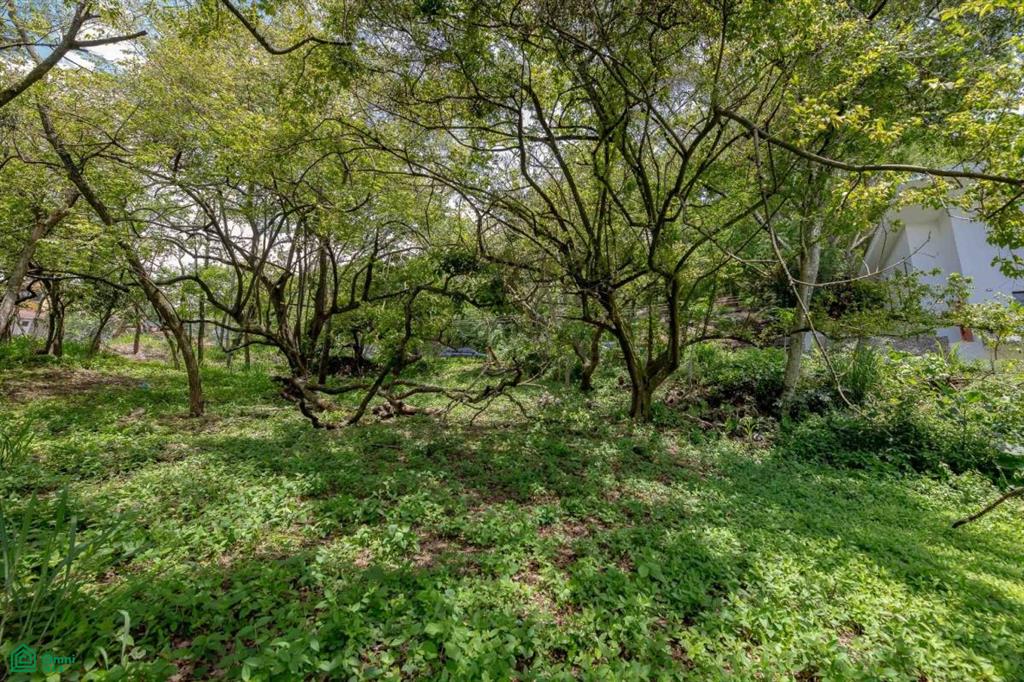 Residential Private Lush Lot Allows for Subdivision