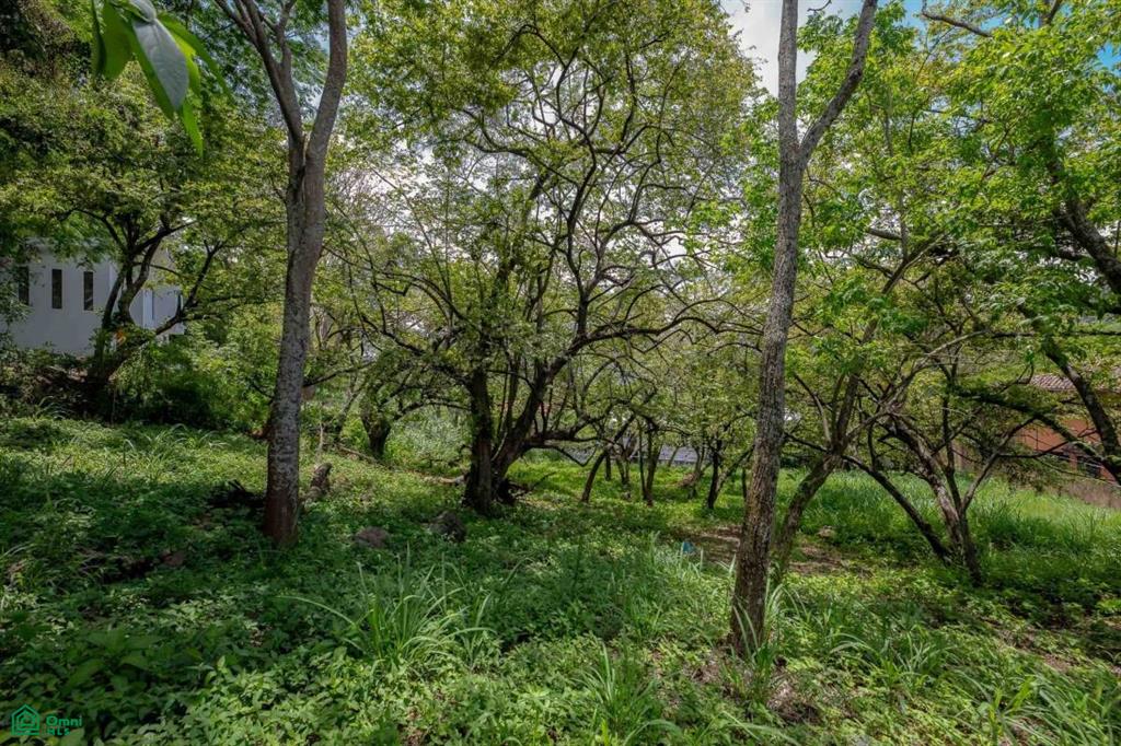 Residential Private Lush Lot Allows for Subdivision