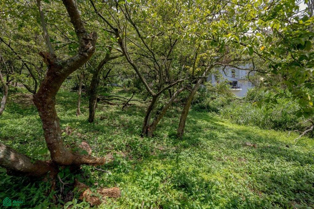 Residential Private Lush Lot Allows for Subdivision