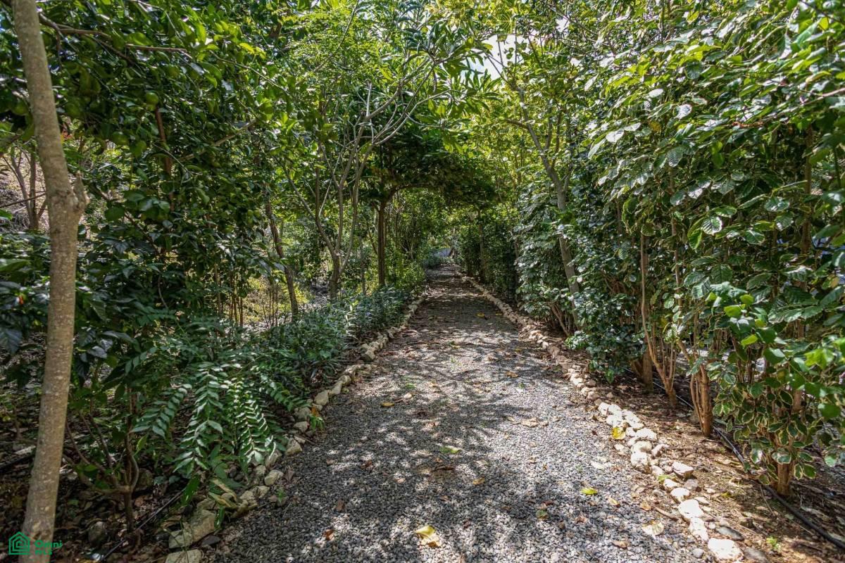 Fully Furnished Jungle Villa, Unit 16 Mountain View Villa, Sardinal, Carrillo, Guanacaste