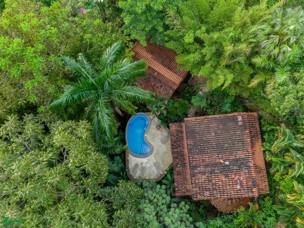 Private Rainforest Villa with Guest House , Quepos, Quepos, Puntarenas