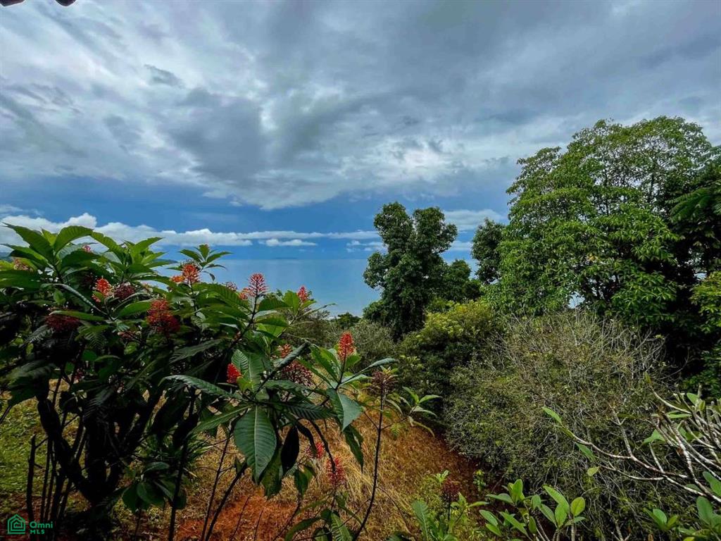 Private Ocean View Lot , Bahía Drake, Osa, Puntarenas