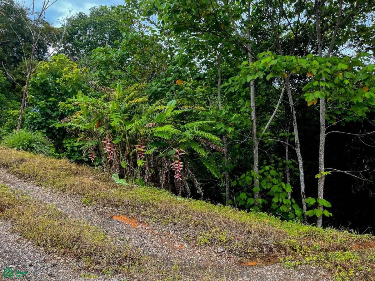 Private Ocean View Lot , Bahía Drake, Osa, Puntarenas