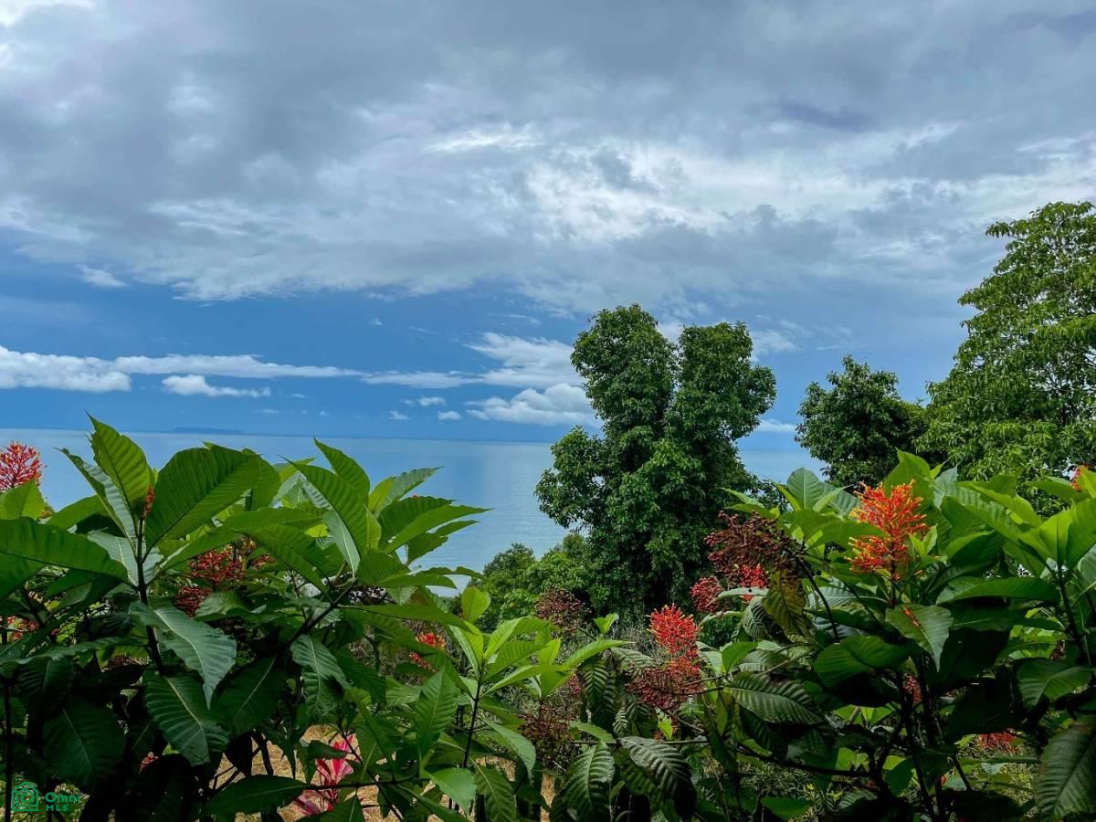 Private Ocean View Lot , Bahía Drake, Osa, Puntarenas